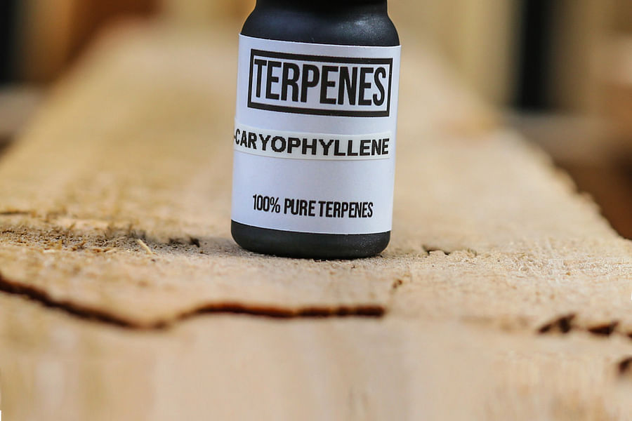 Eucalyptus leaves vaporizer