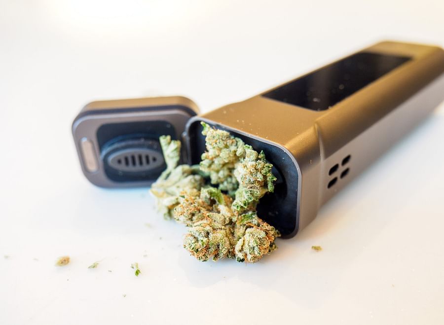 Dry herb vaporizer with herbs