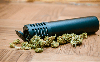 What are the top rated portable dry herb or concentrate vaporizers?