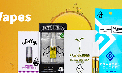 What is the difference between an oil cartridge and a dry herb vaporizer?